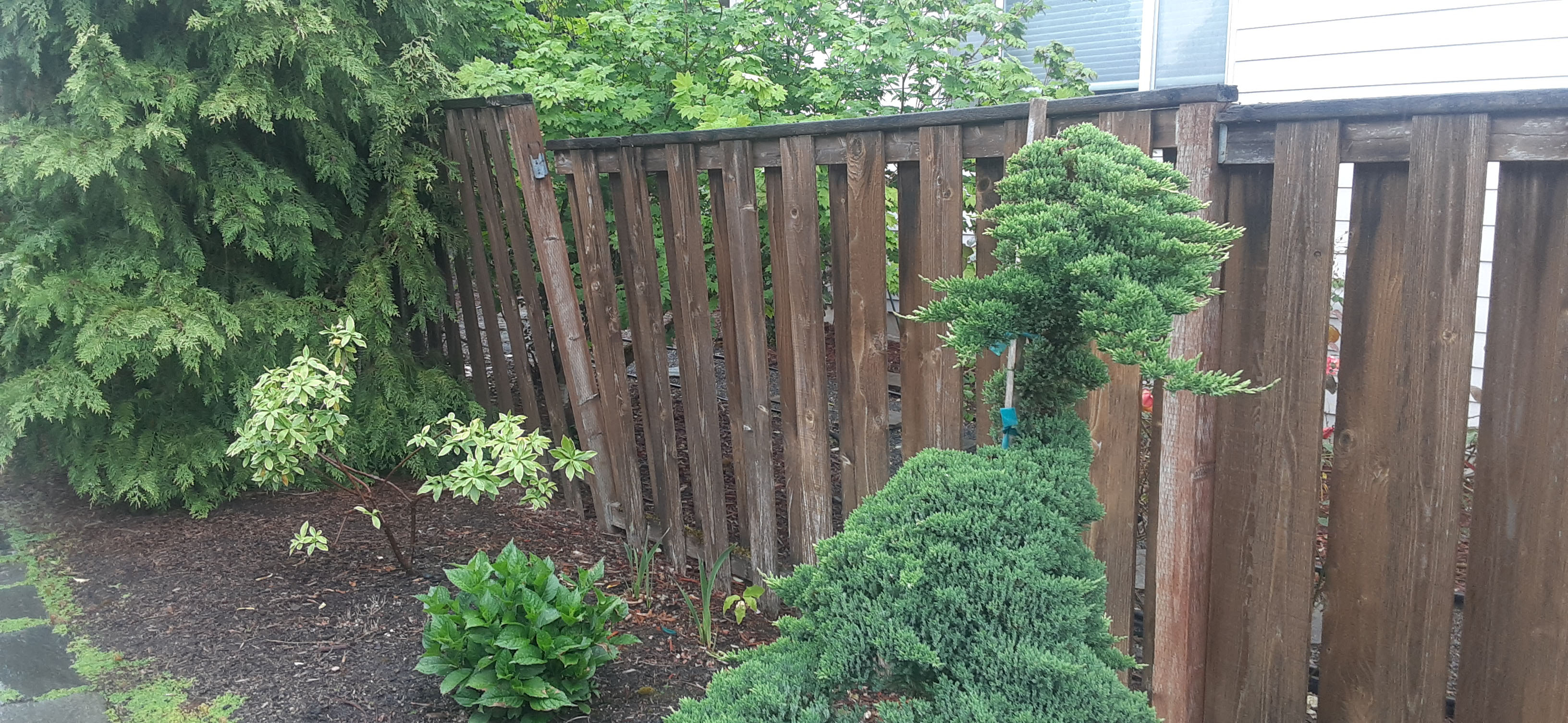 Old wood fence that's falling in part and need of replacement