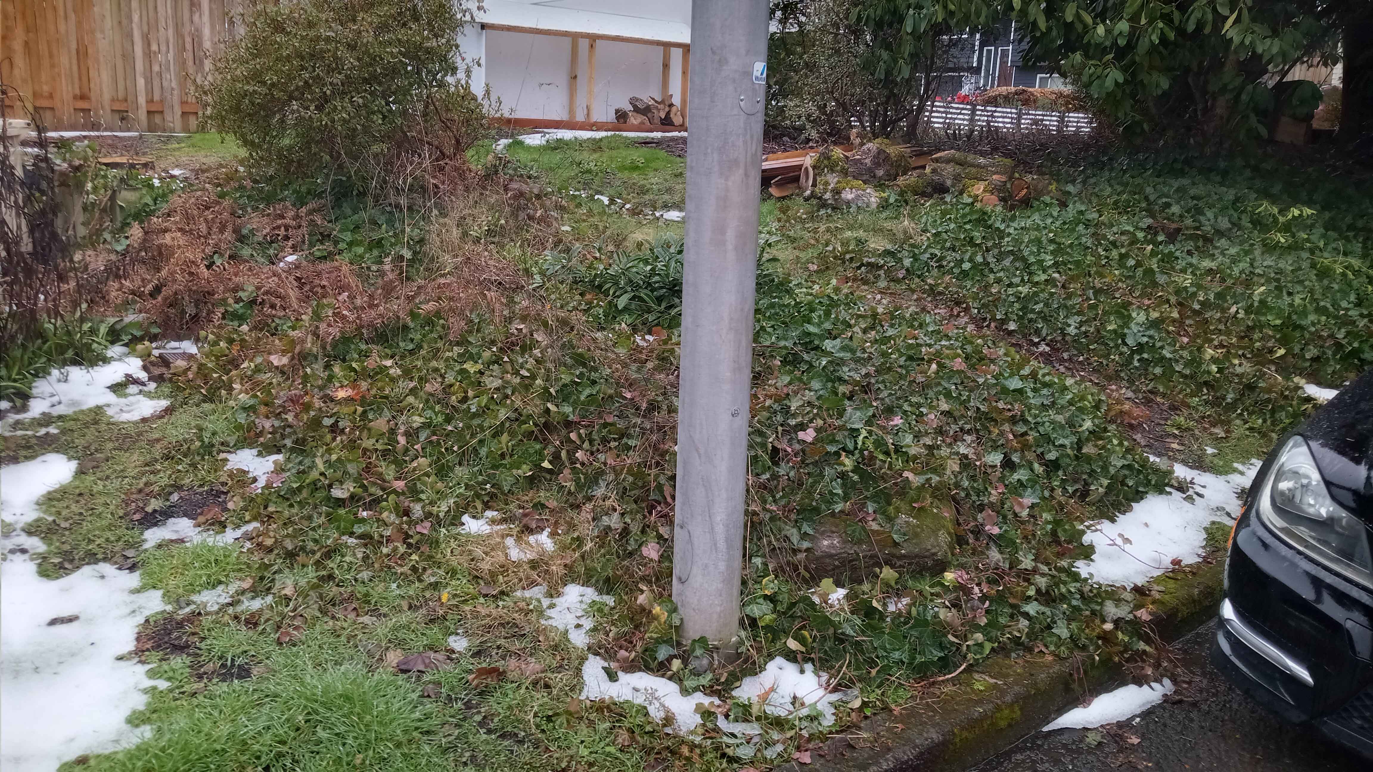 Edge of property with unkept and overgrown yard