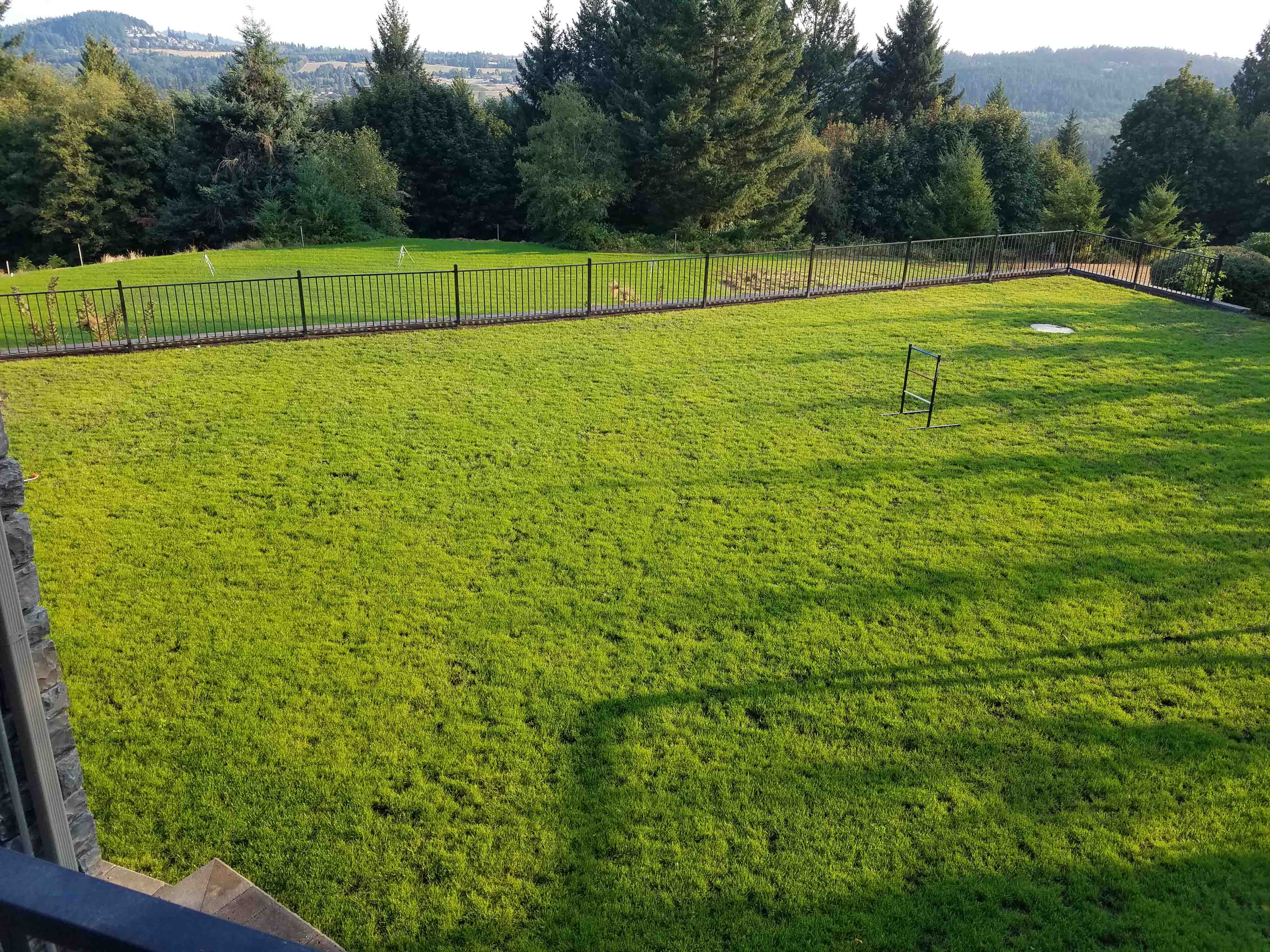 Freshly laid grass in a new leveled backyard with retaining wall and metal fence railings