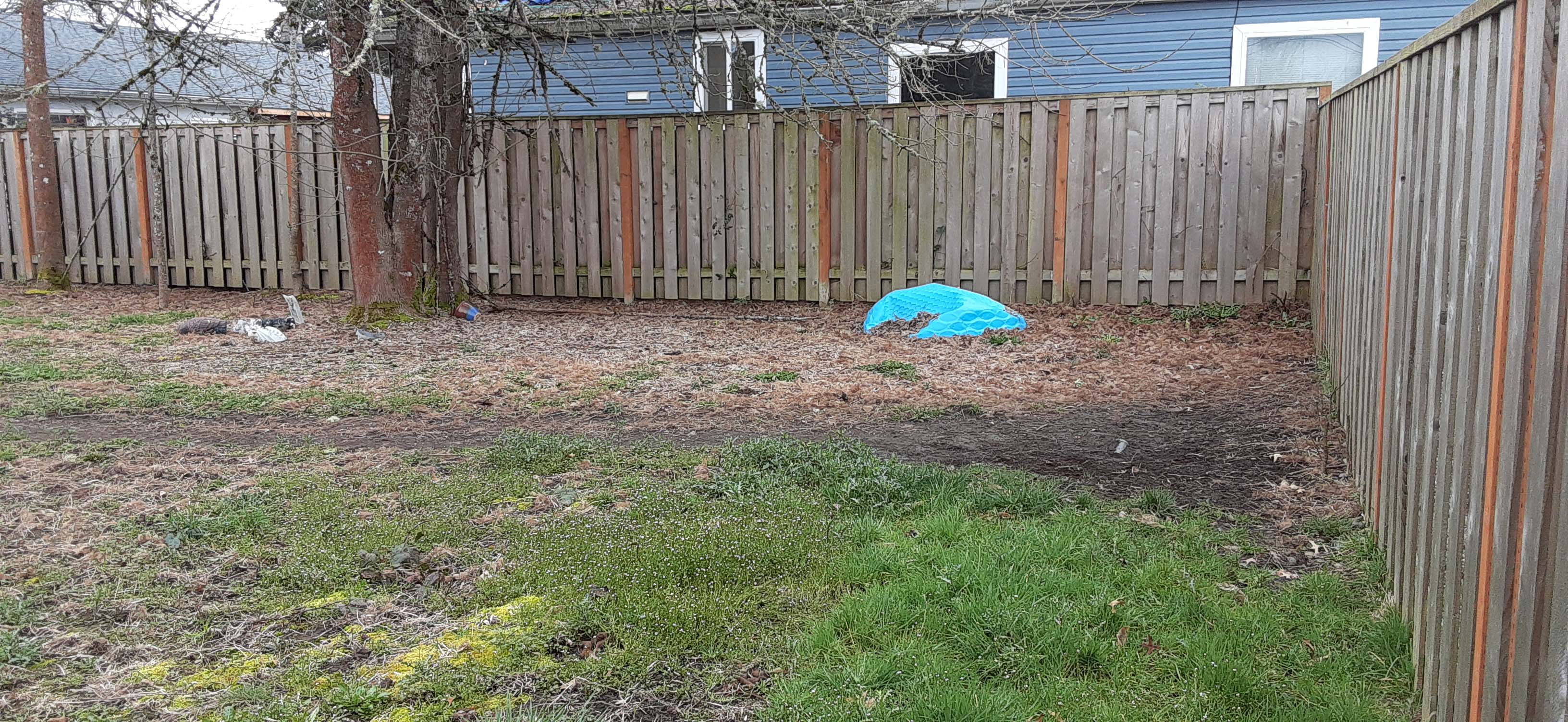 Before image of a backyard with patchy grass