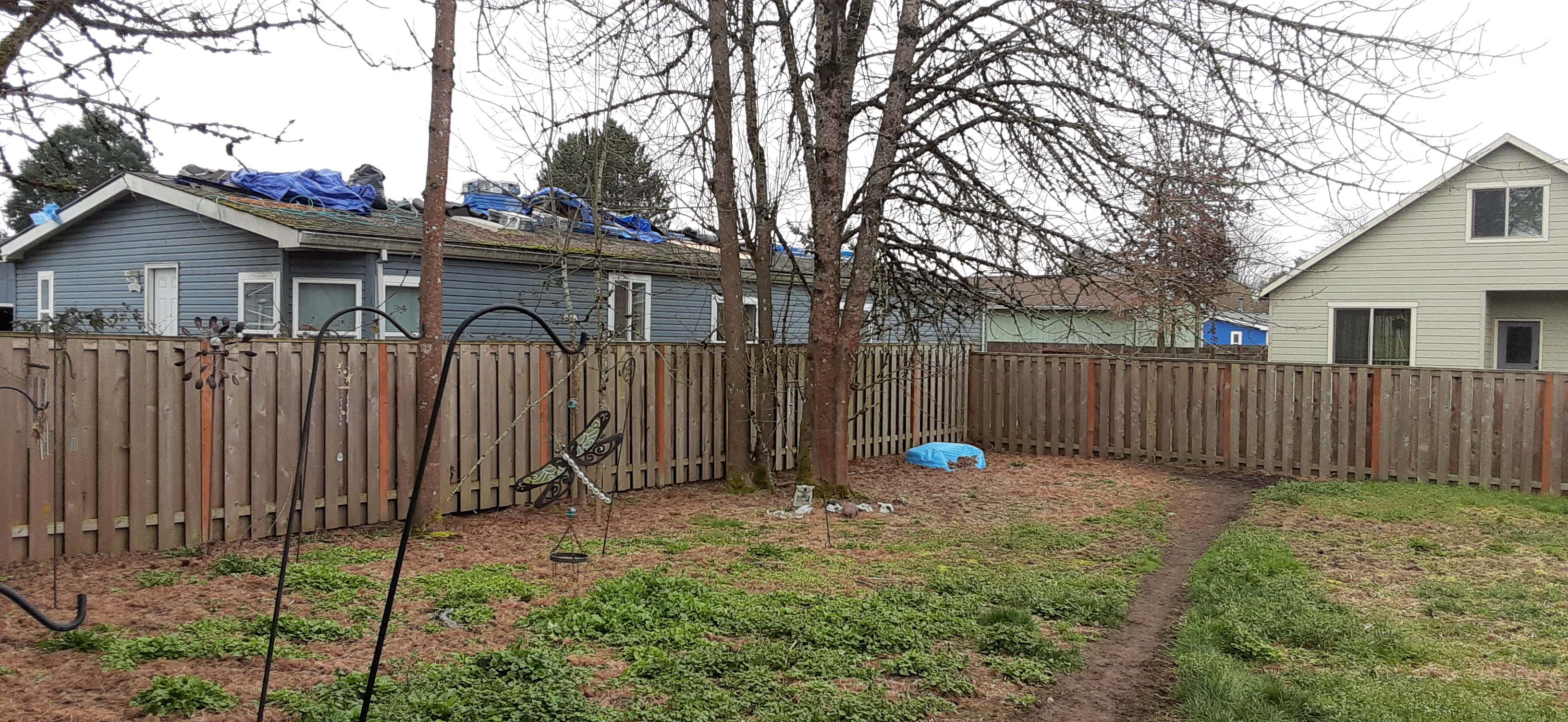Before image of backyard with patchy grass and dirt path