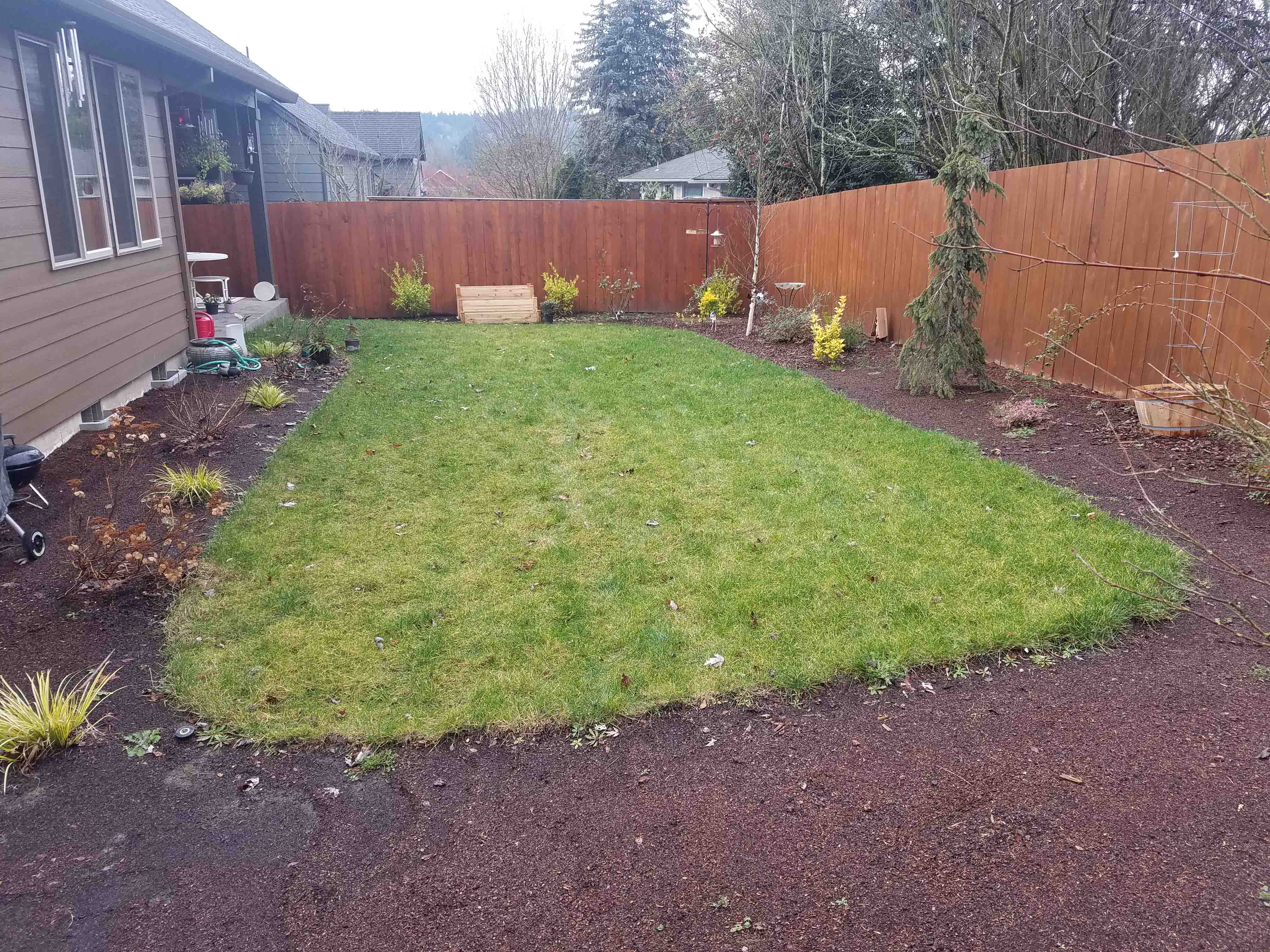 Small backyard with grass covering most of the ground and a mulch bed surrounding the entire yard