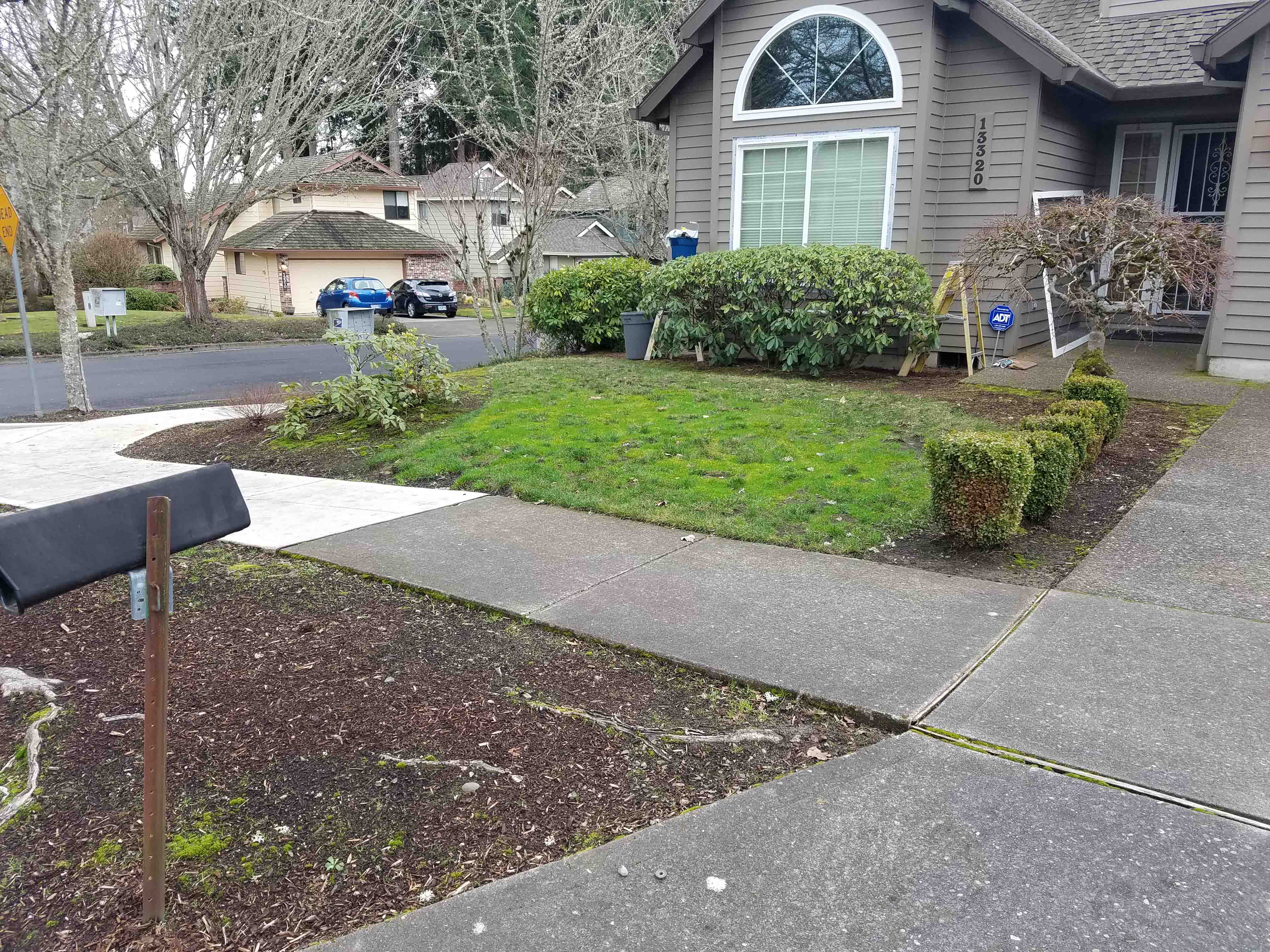 Front yard grassy patch with small bushes