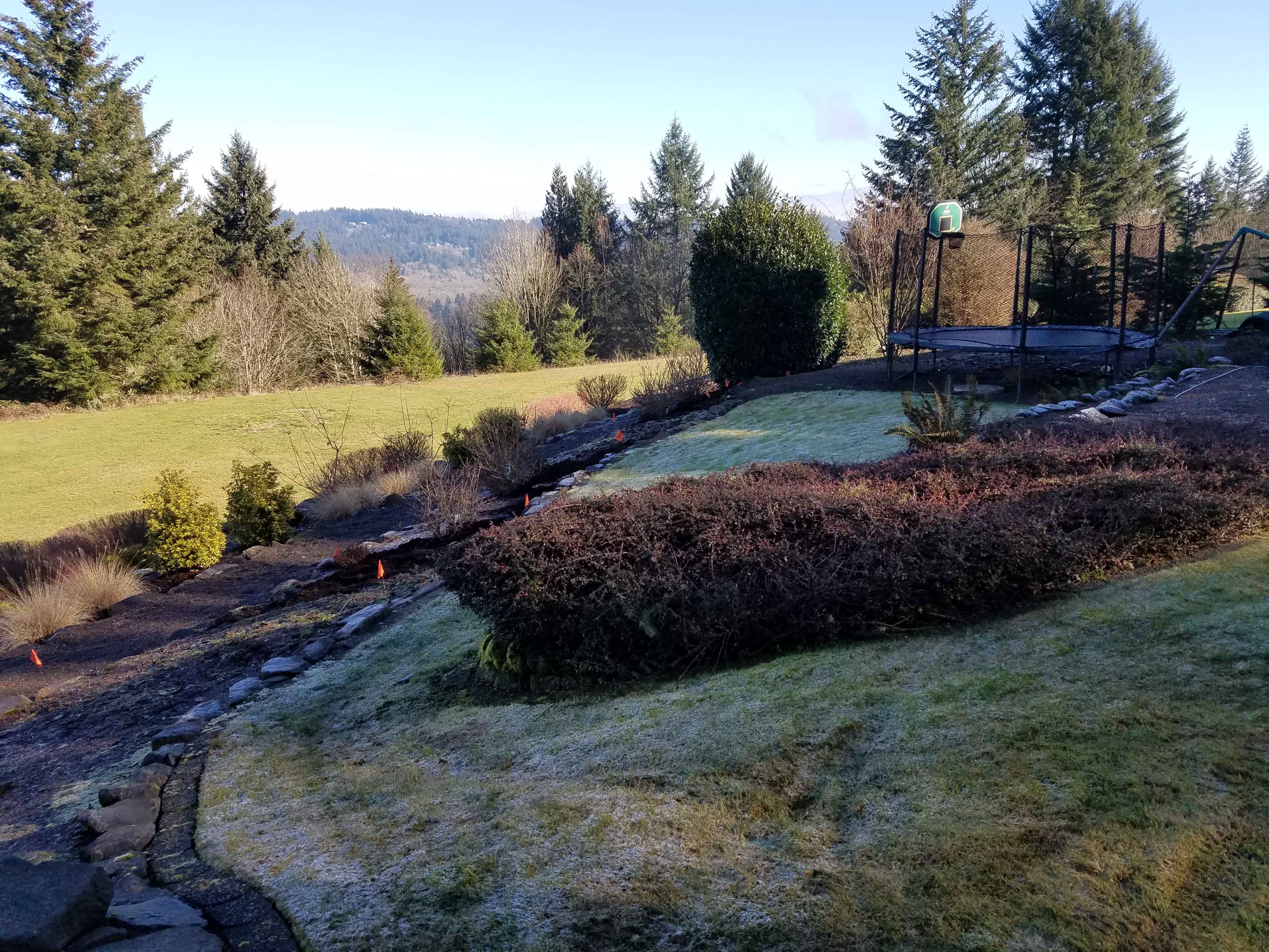 Sloped backyard with old, unkept mulch bed at the bottom