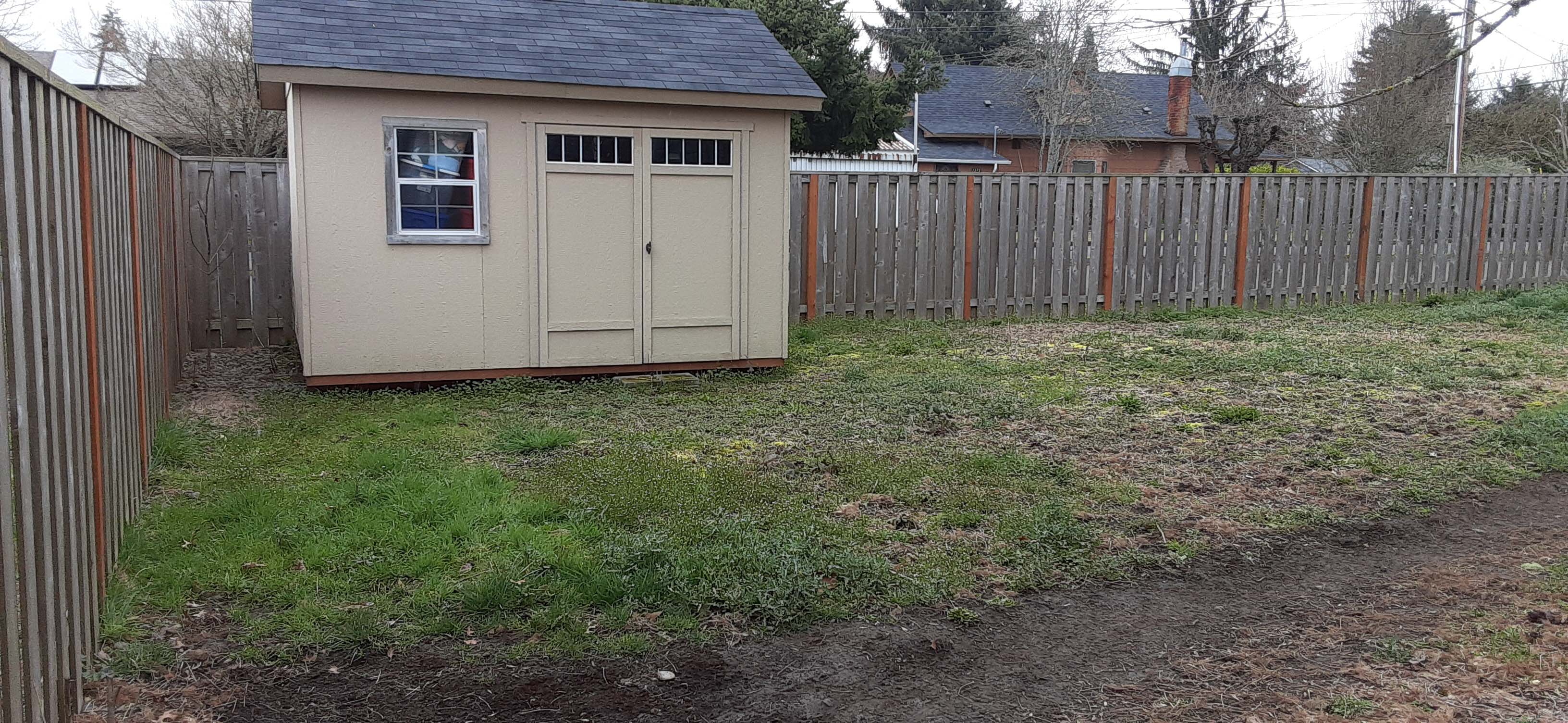 Backyard shed surrounded by patchy grass and a dirt path
