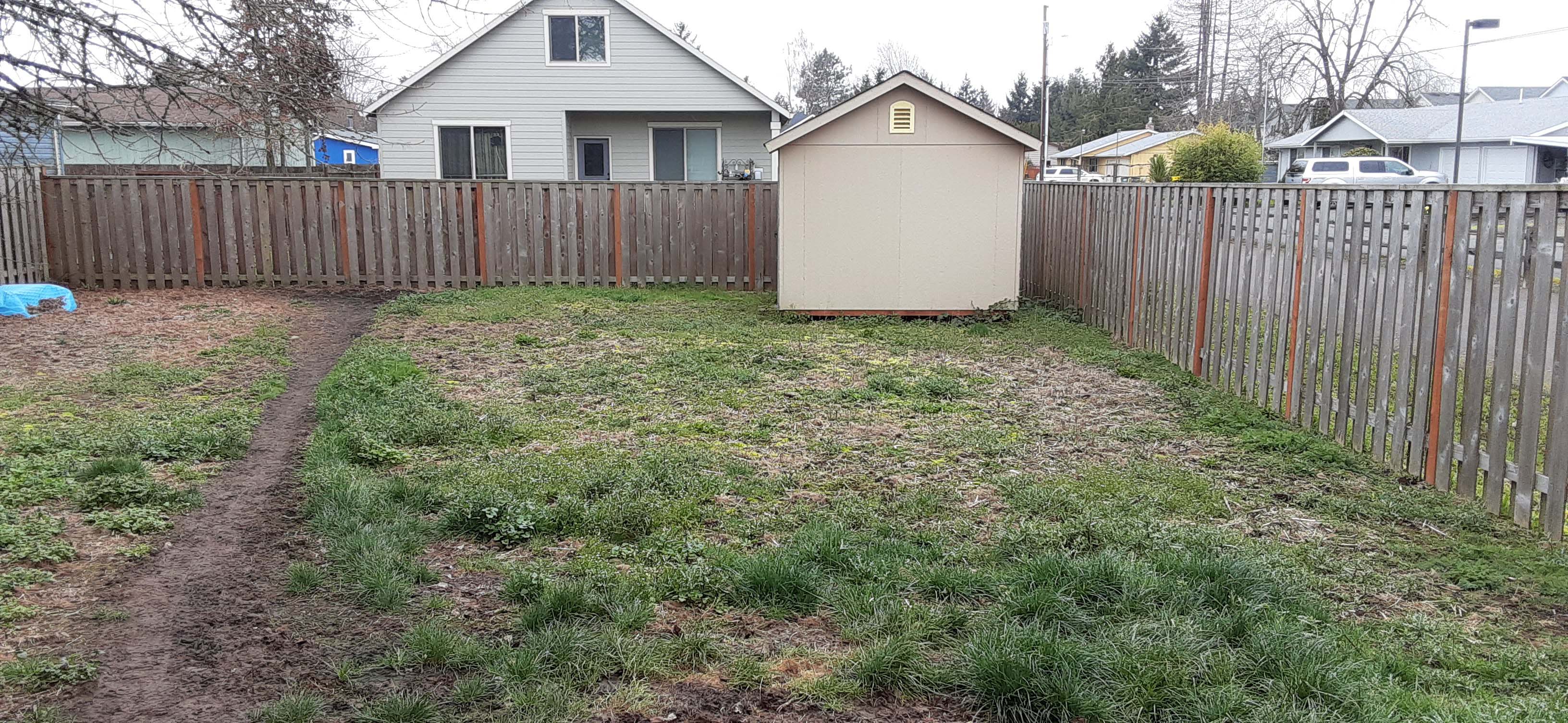 Backyard with patchy grass, dirt path and shed