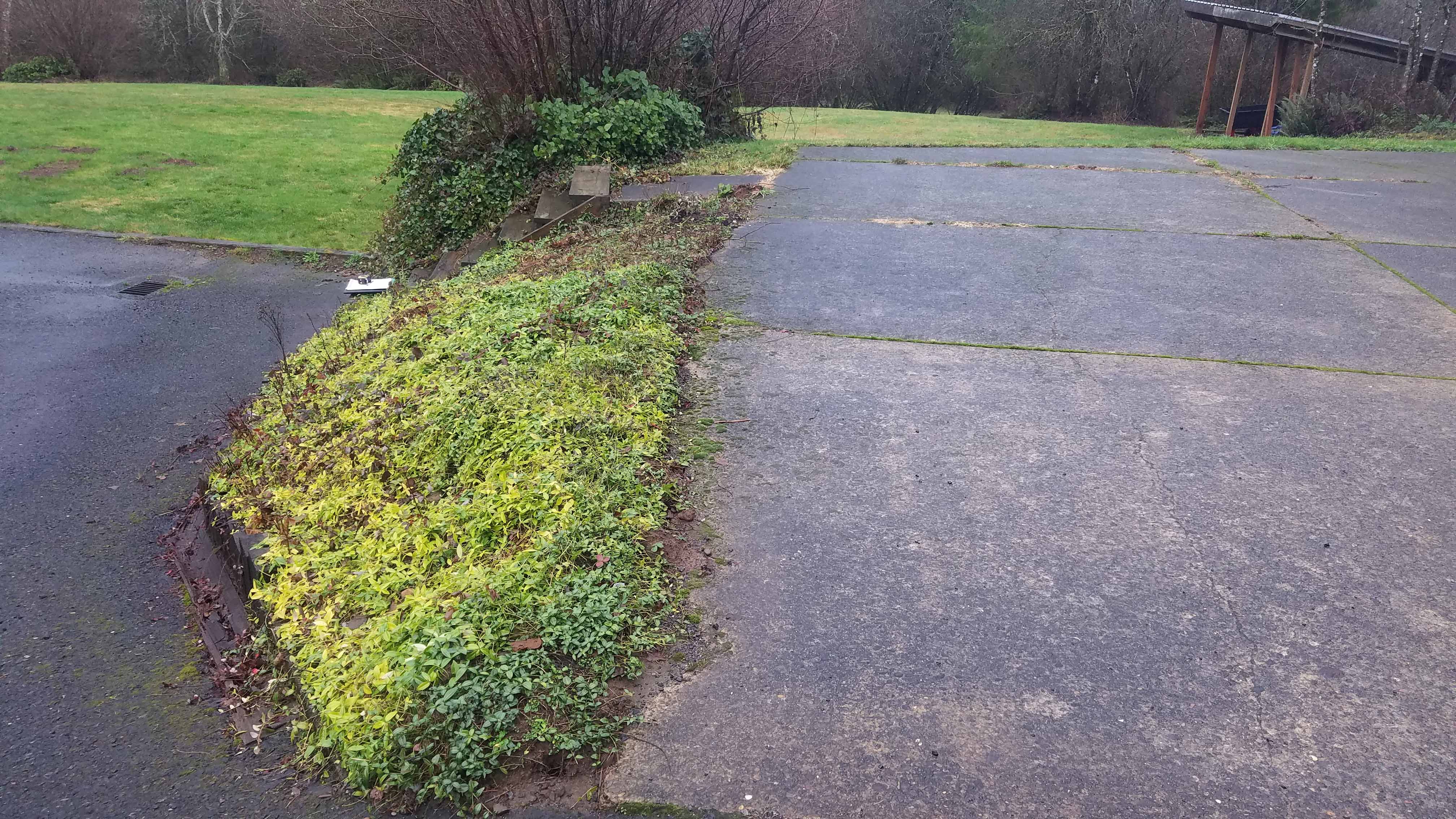 Old driveway extension with overgrown plant bed and rundown stairs
