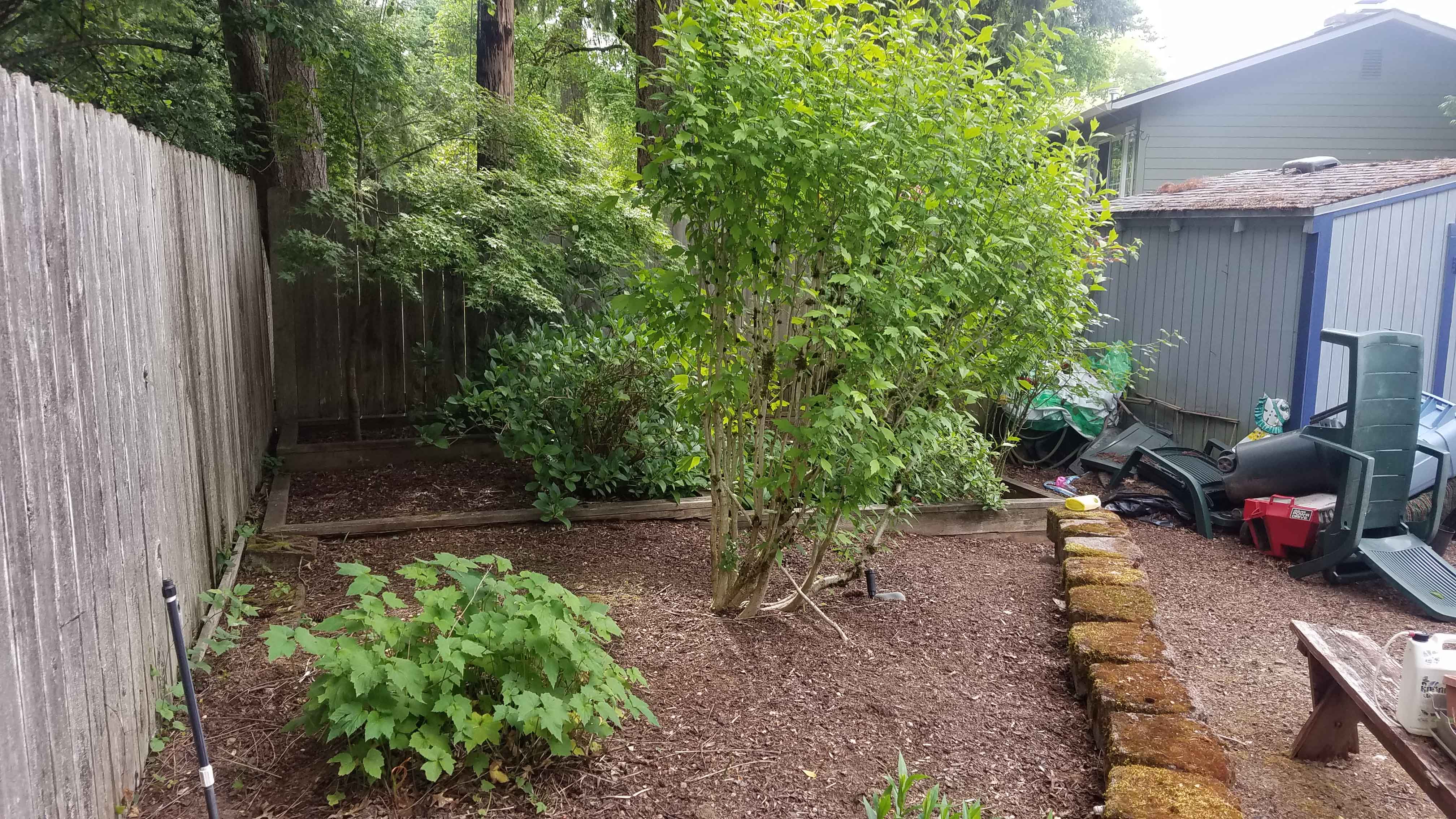 Backyard with dirt path, patchy grass and decorations strewn about